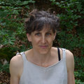 Maja